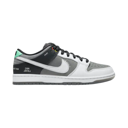 Nike SB Dunk Low VX 1000 Camcorder
