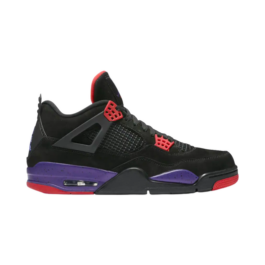 Jordan 4 Raptors