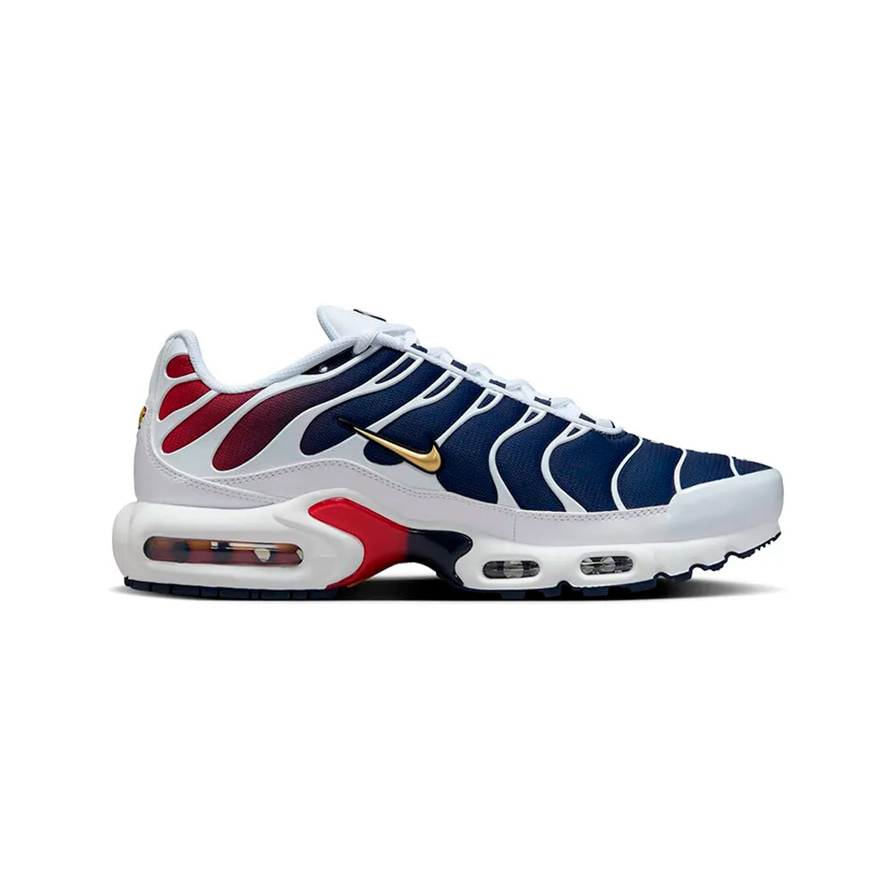 Nike Air Max Plus TN Paris