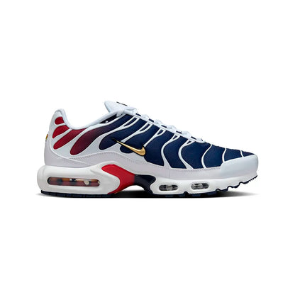Nike Air Max Plus TN Paris