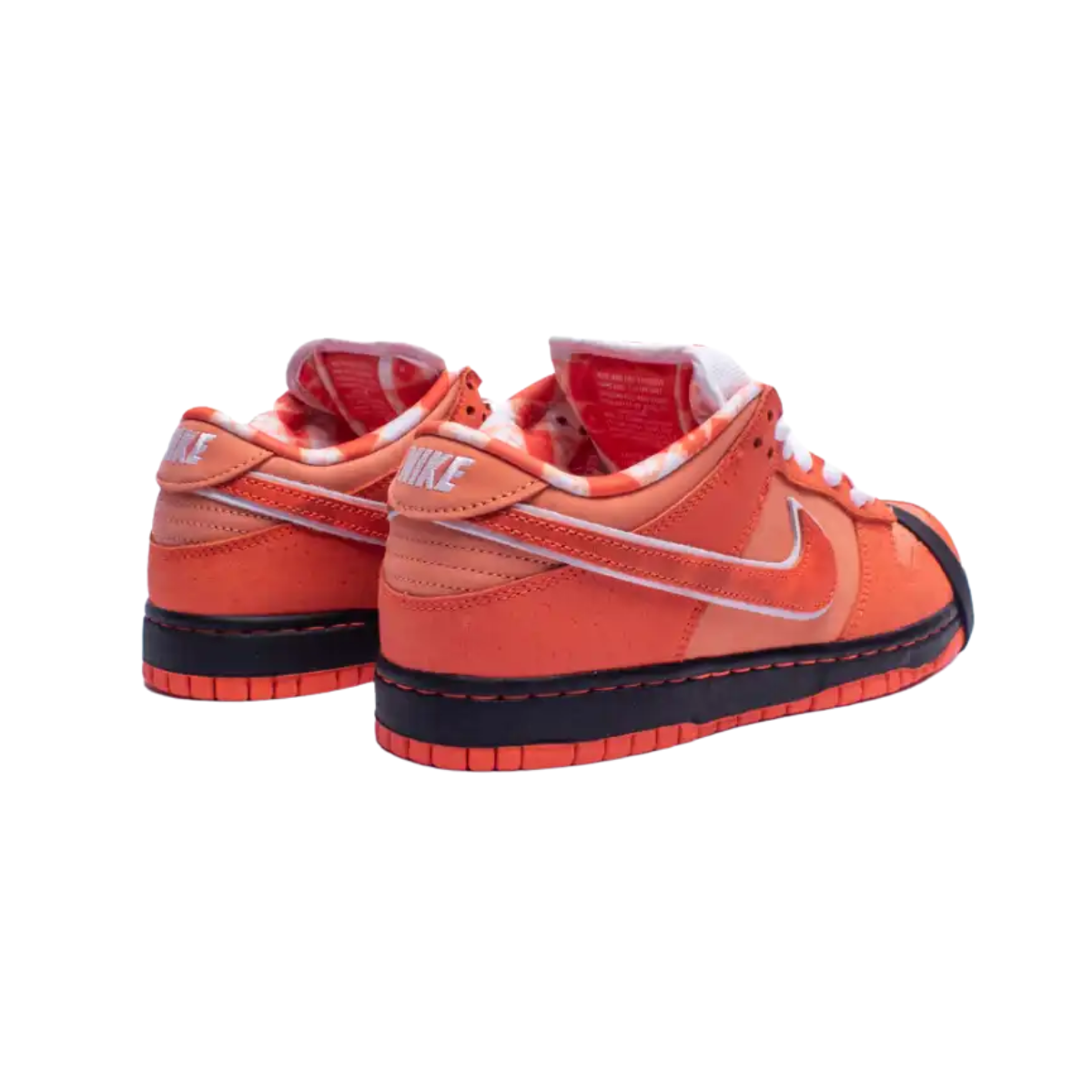 Nike SB Dunk Concepts Orange Lobster