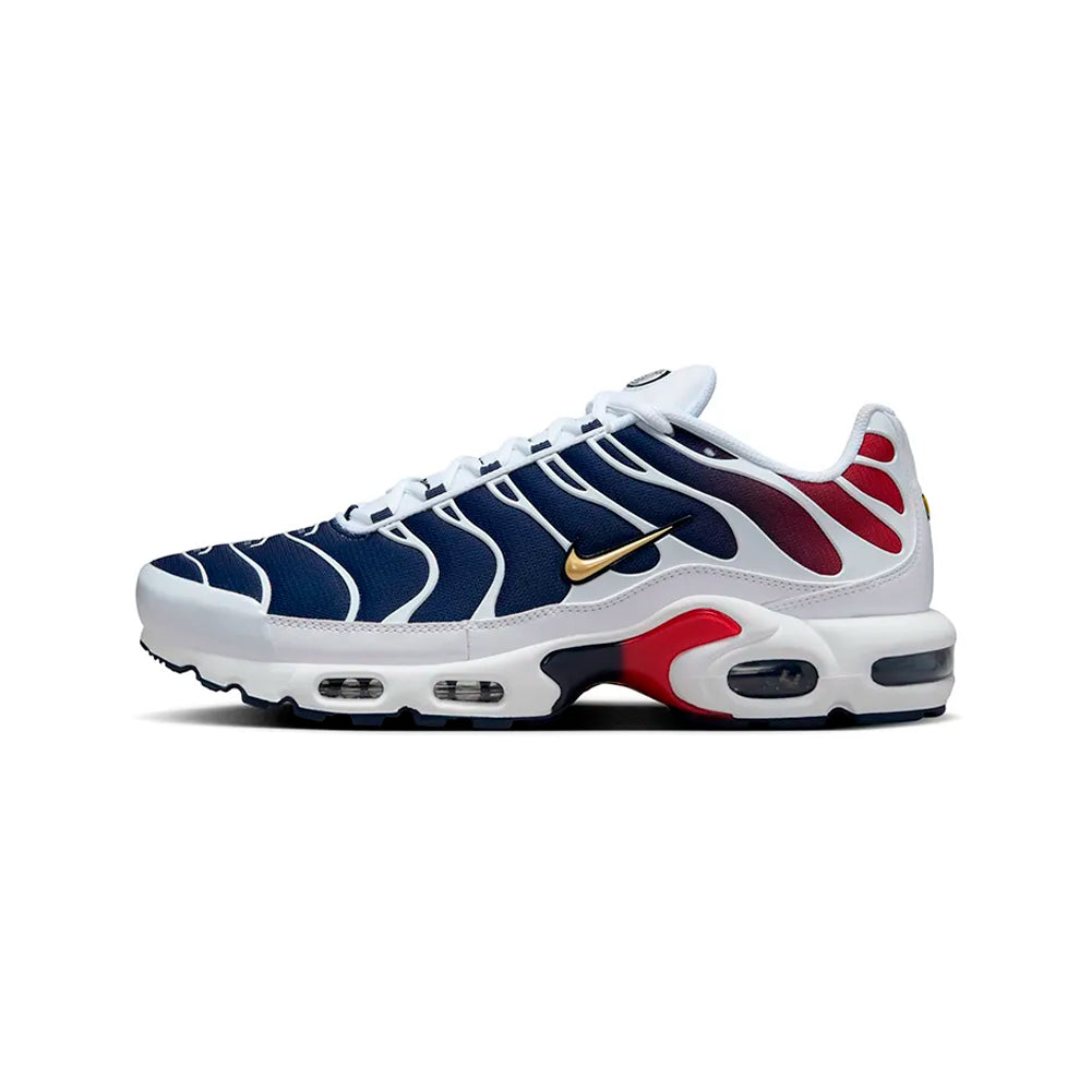 Nike Air Max Plus TN Paris