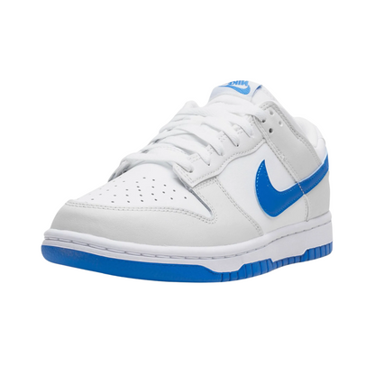 Nike Dunk Low Pro SB Matte Silver Varsity Royal