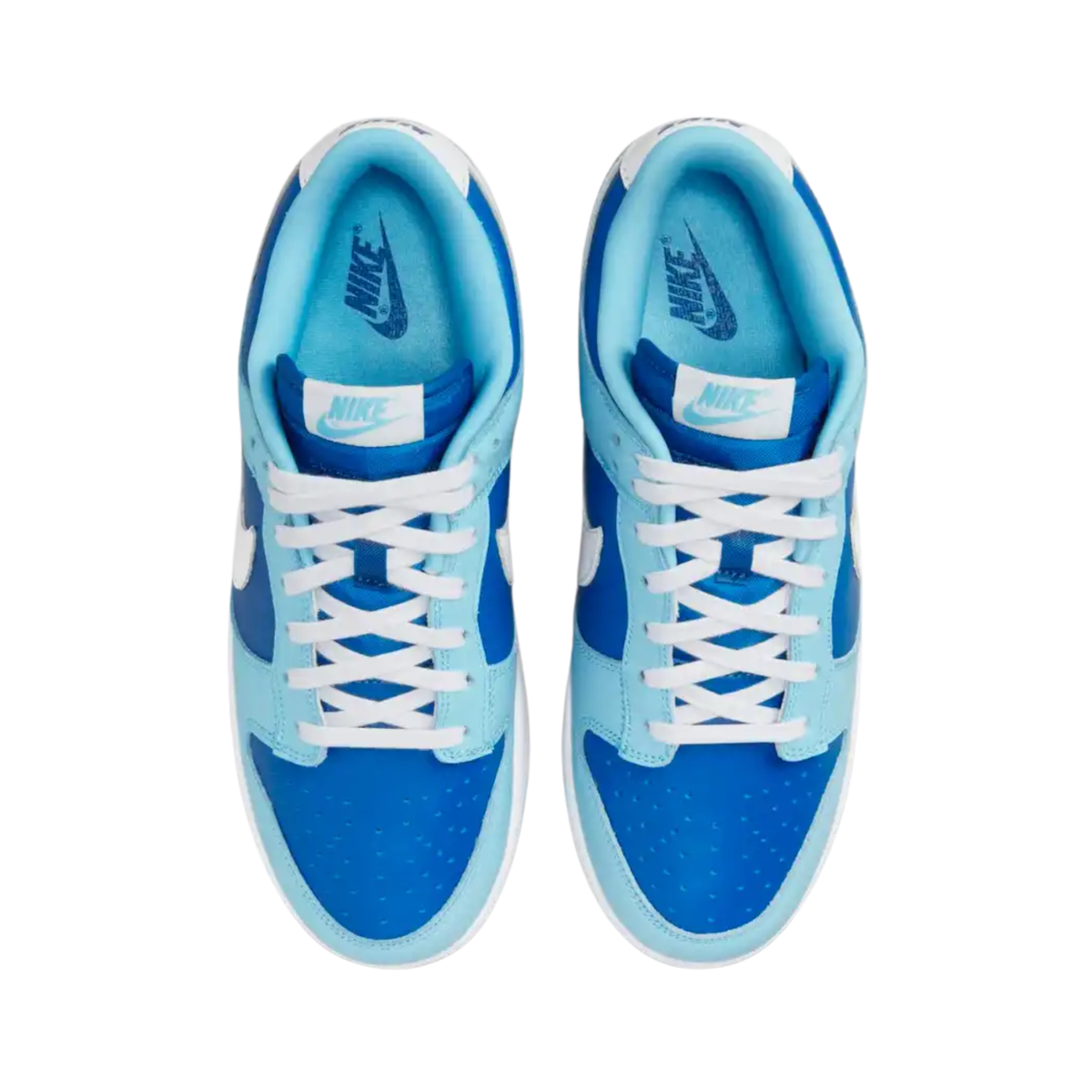 Nike Dunk Low Argon
