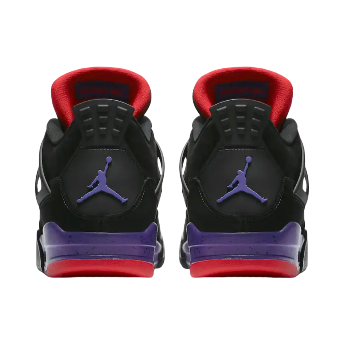 Jordan 4 Raptors