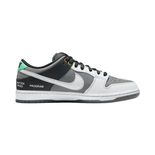 Nike SB Dunk Low VX 1000 Camcorder