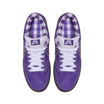 Concepts x Nike SB Dunk Low Purple Lobster