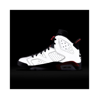 Jordan 6 Retro Reflections of a Champion
