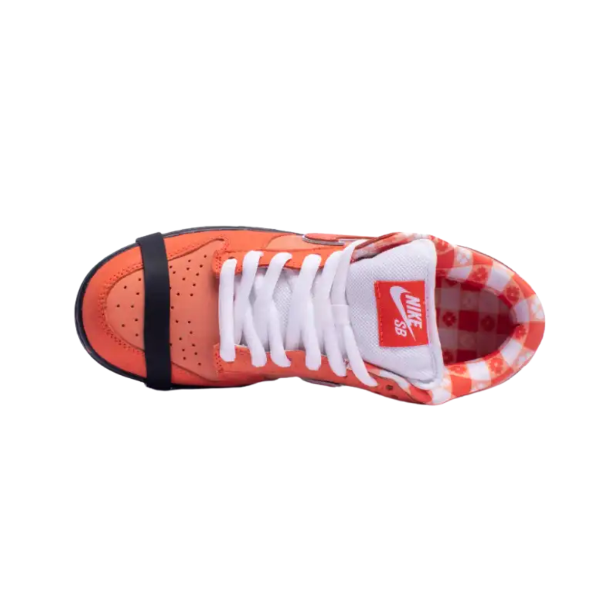 Nike SB Dunk Concepts Orange Lobster