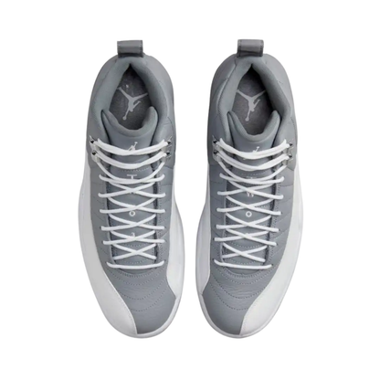 Jordan 12 Stealth