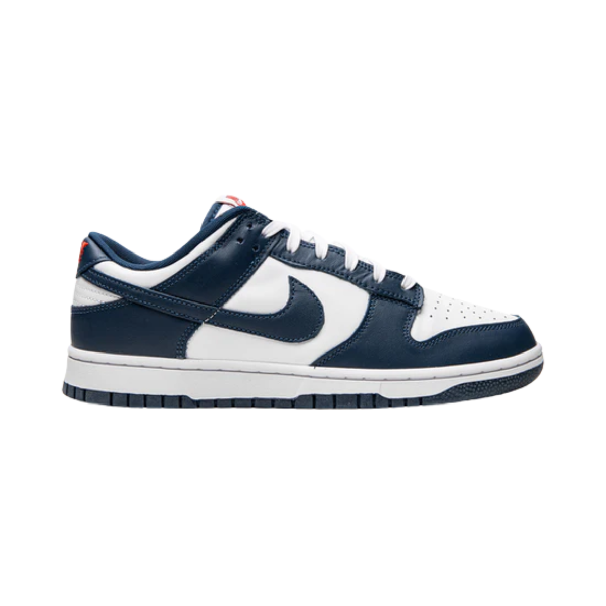 Nike Dunk Low Valerian Blue