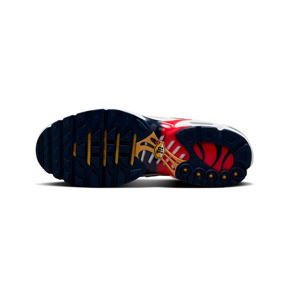 Nike Air Max Plus TN Paris