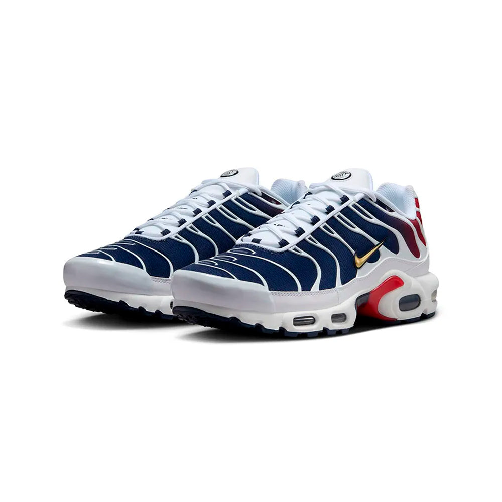 Nike Air Max Plus TN Paris