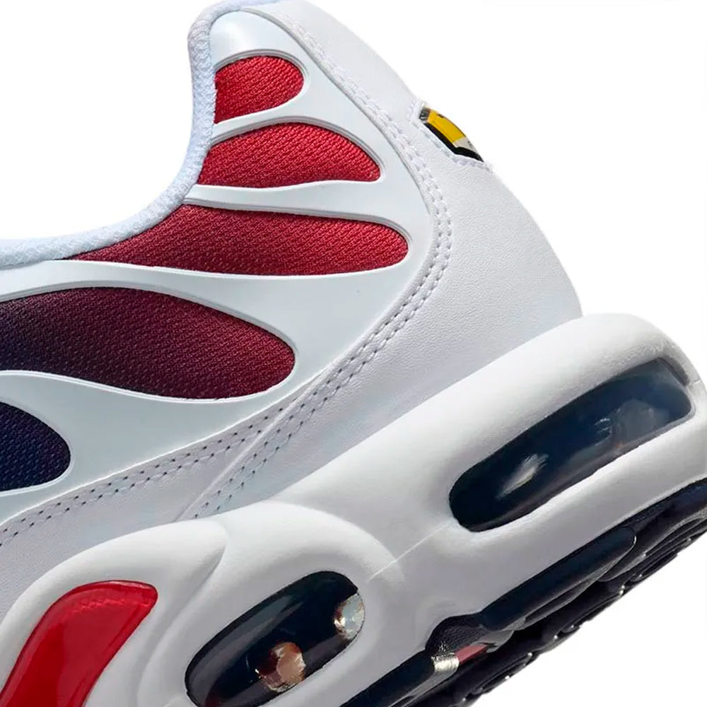 Nike Air Max Plus TN Paris